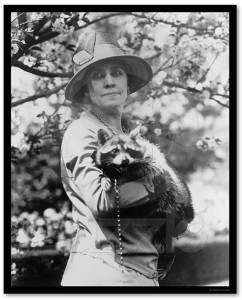 A popular picture of Grace Coolidge and her raccoon Rebecca.