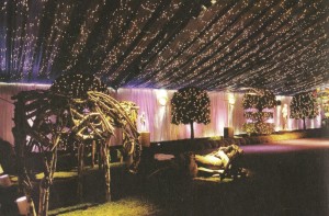 The Jacqueline Kennedy Garden was enclosed and converted into a jazz club for the Clintons' 1999-2000 Millennium party.
