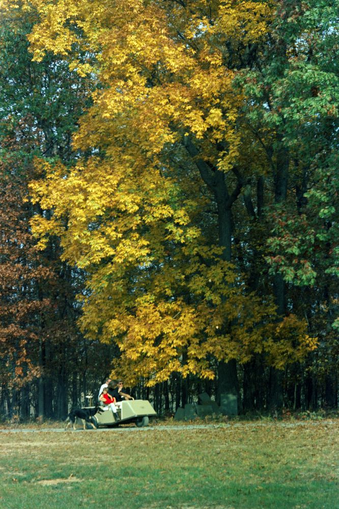 The President driving his wife and son and a friend on a golf cart, exploring the woods of their new property, October 27, 1963.