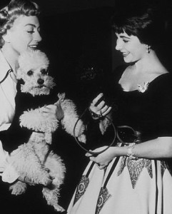 Crawford shows off one of her prized poodles to Taylor.