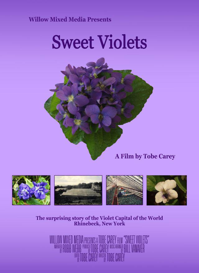 A poster for a 2013 documentary on the Empire State's former violet empire.