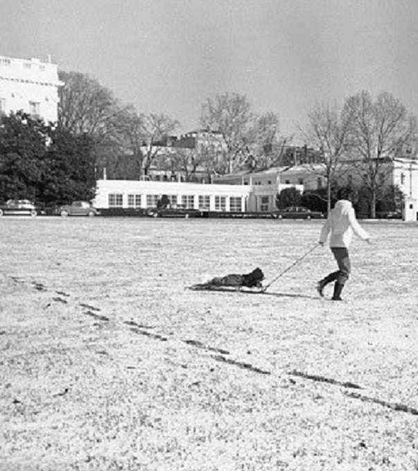 Jackie pulls John on a sled across the White House South Lawn. Jackie pulls John on a sled across the White House South Lawn.
