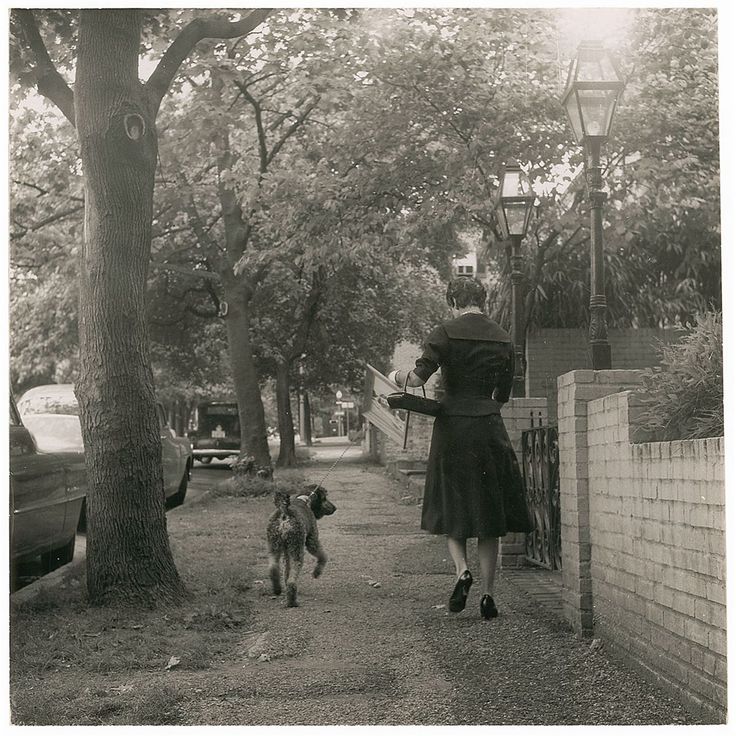 Errands done, Jackie Kennedy and Gaullie head home.