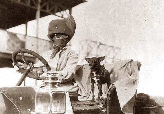 A lady motorist driving in the open-air with her favorite passenger, circa 1910.