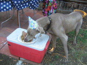 Yeager got his "cake" and ate it too, everyday.