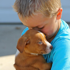 A parent can focus all their attention on a foster Dog while their children are in school, and when they're home, invite them to share in the caring.