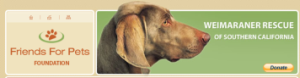 The Friends for Pets website banner.